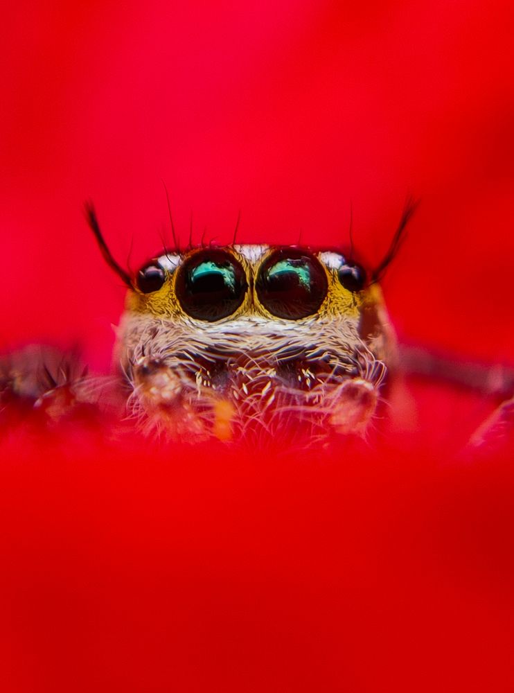 Photograph by Ajeesh A