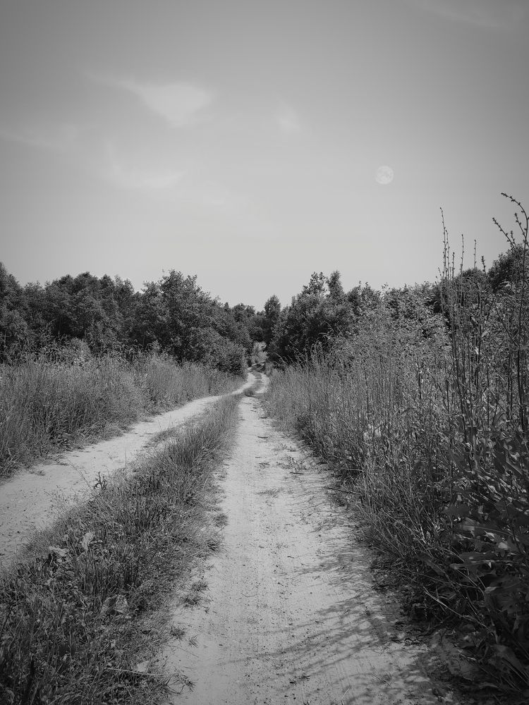 Photograph by Евгений Белов