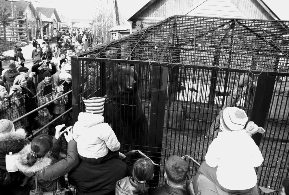 На день рождения к медведю Степашке...!