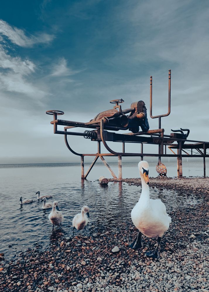 Photograph by Schewzow Lana