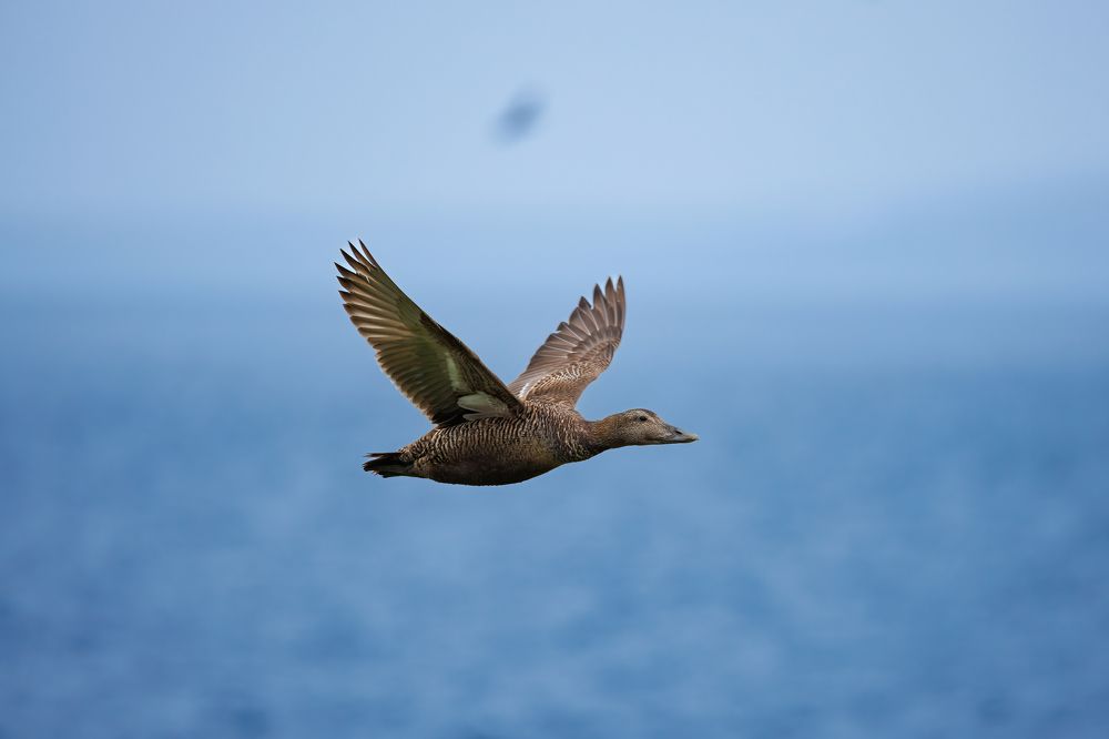 Photograph by Валентин Колинько