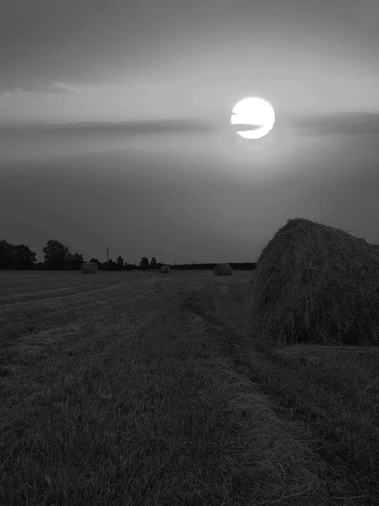 Photograph by Евгений Белов