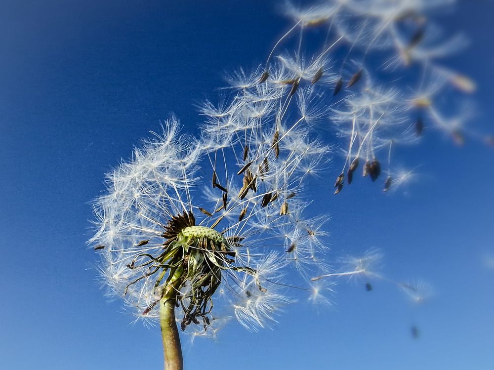 Photograph by Илья