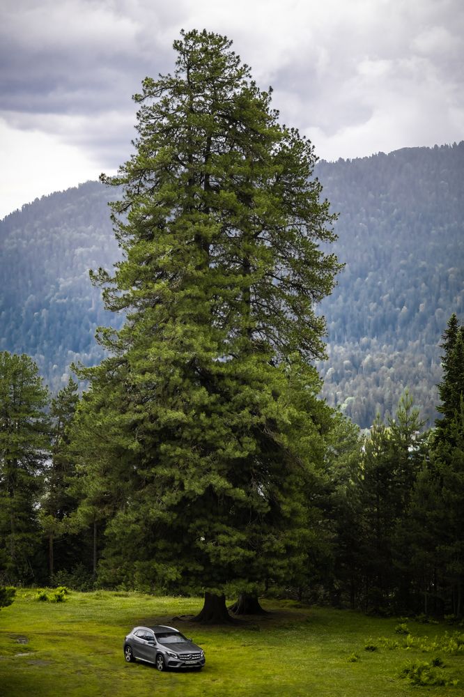 Photograph by Анна Гофман