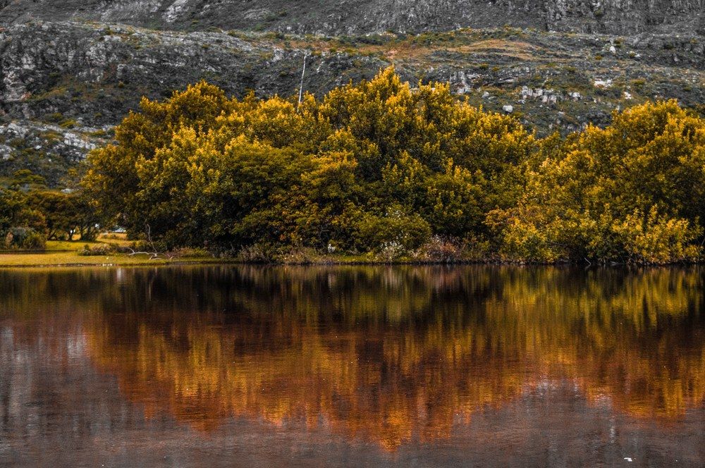 Photograph by Fabricio Bento