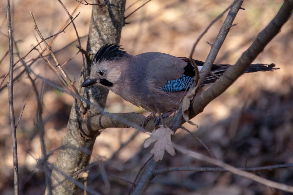 Photograph by Всеволод Маслов