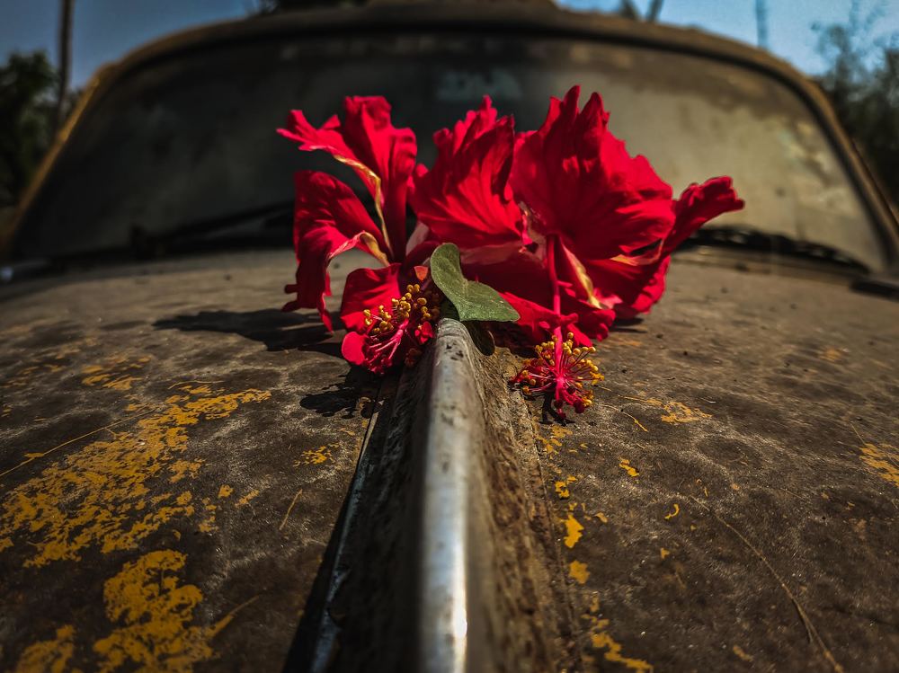 Photograph by Trishik Bose