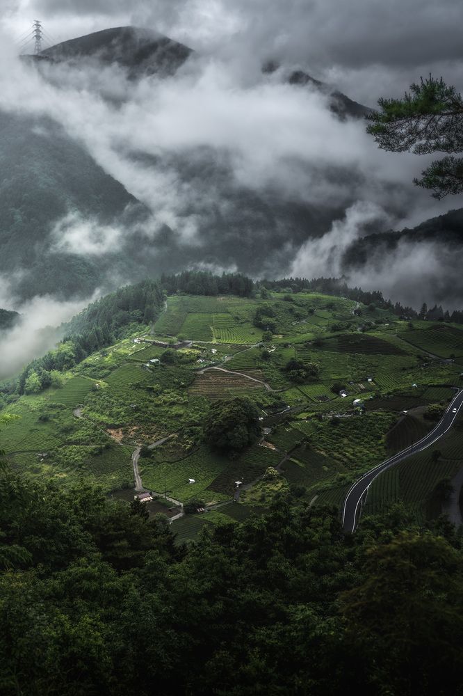 Photograph by Matsubara Hiroki