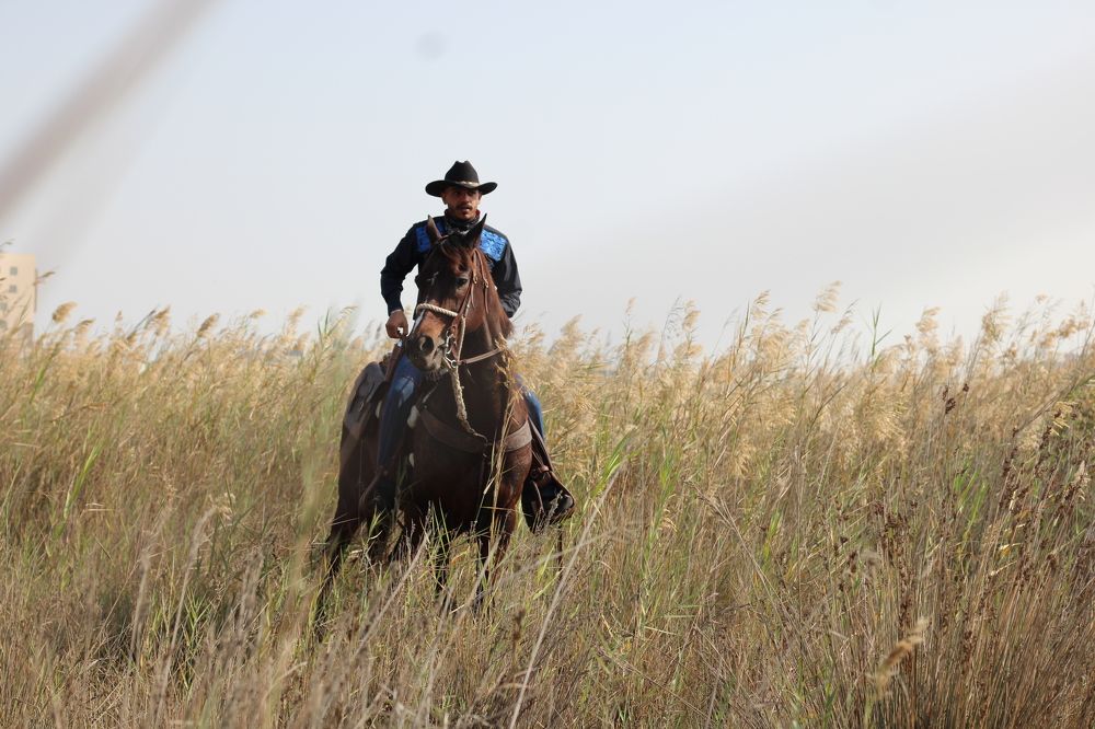 Photograph by Mohammed Mahdi