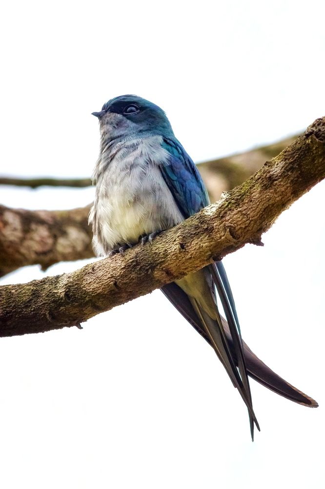 Photograph by Mohd Ezzat Moh Rasjid