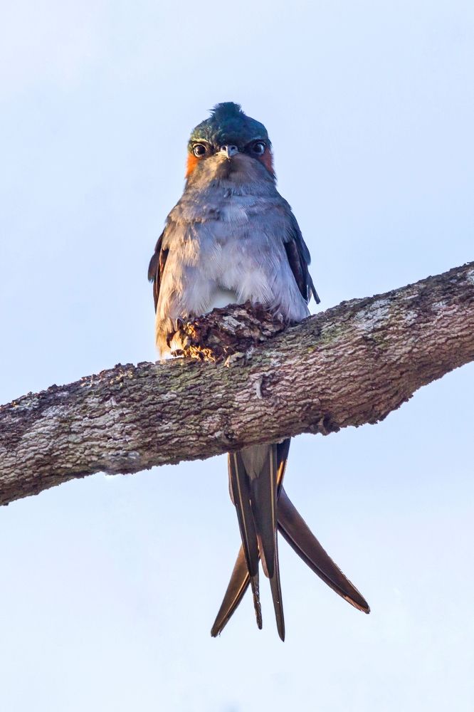 Photograph by Mohd Ezzat Moh Rasjid