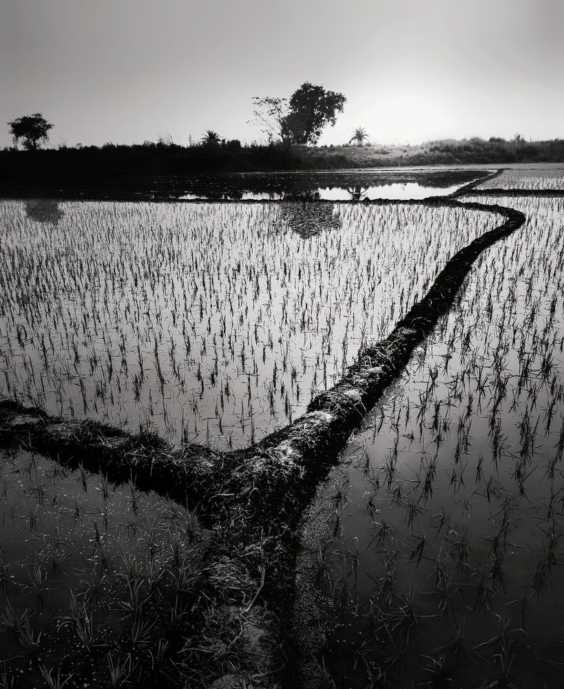 Фотография автора Ramprasad Das