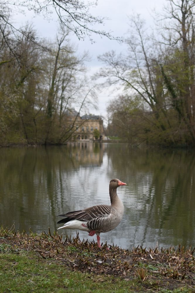 Photograph by Мария Дидковская