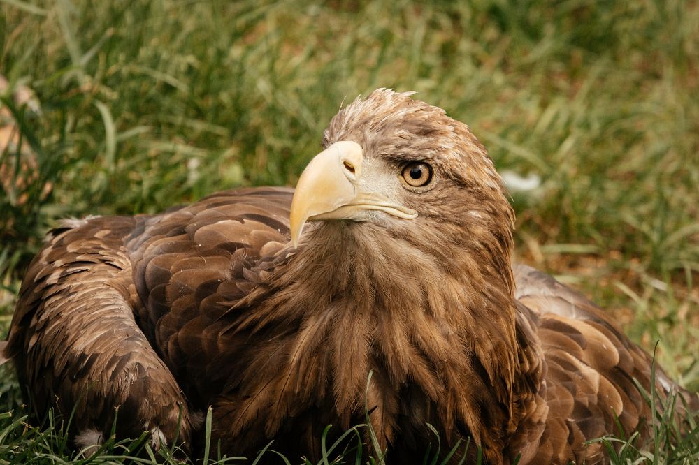 Photograph by Оксана Корчагина