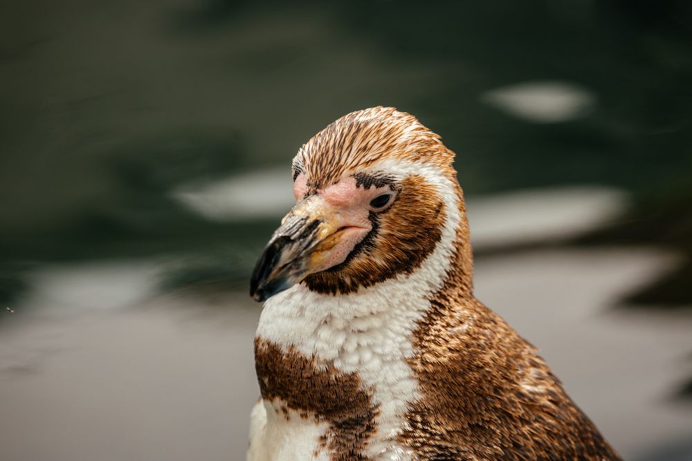 Photograph by Оксана Корчагина