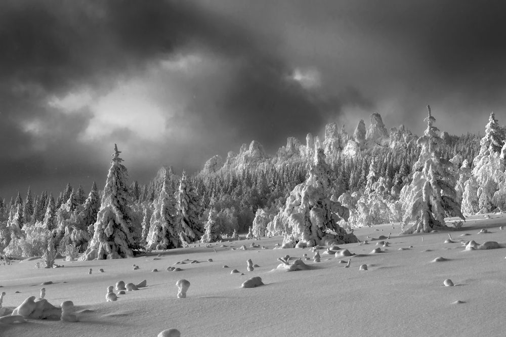 Photograph by Ирина Толокновская