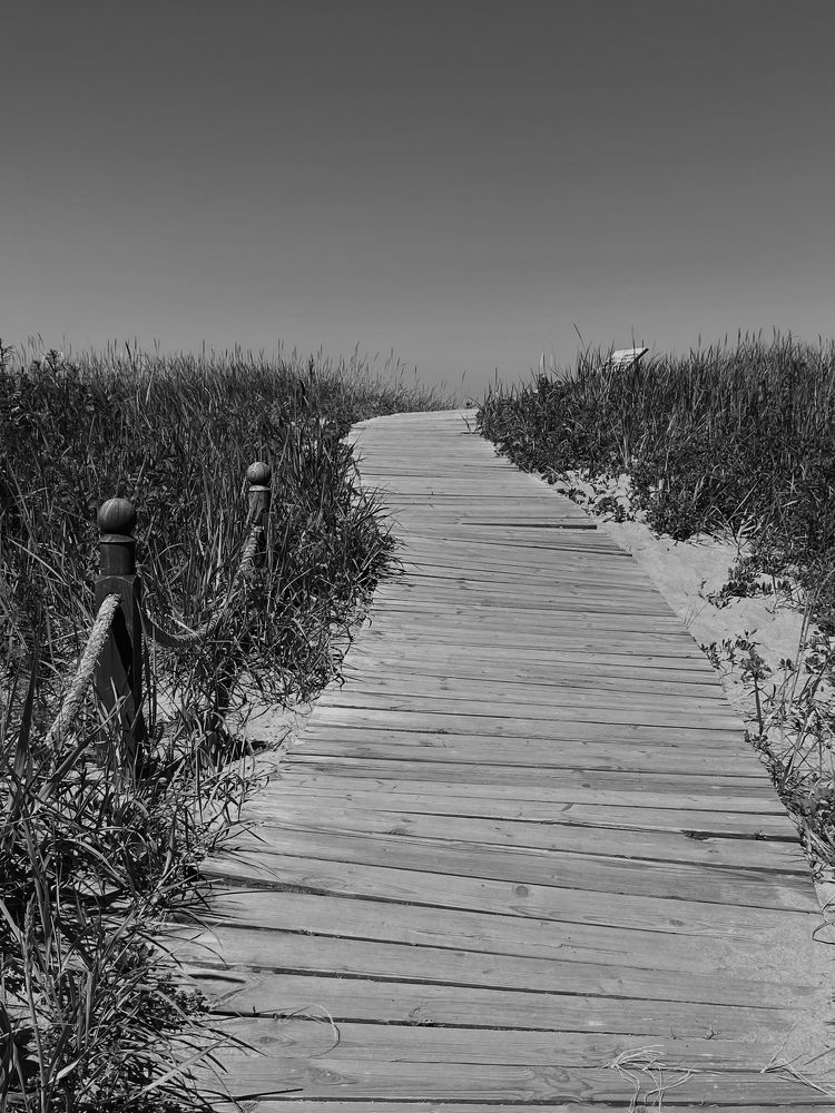 Photograph by Екатерина Николаева