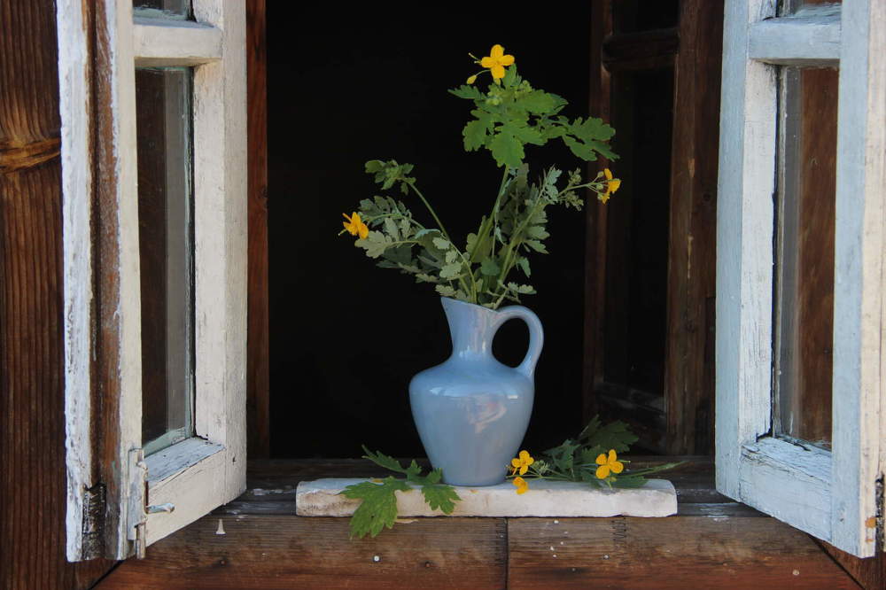 Photograph by Алина