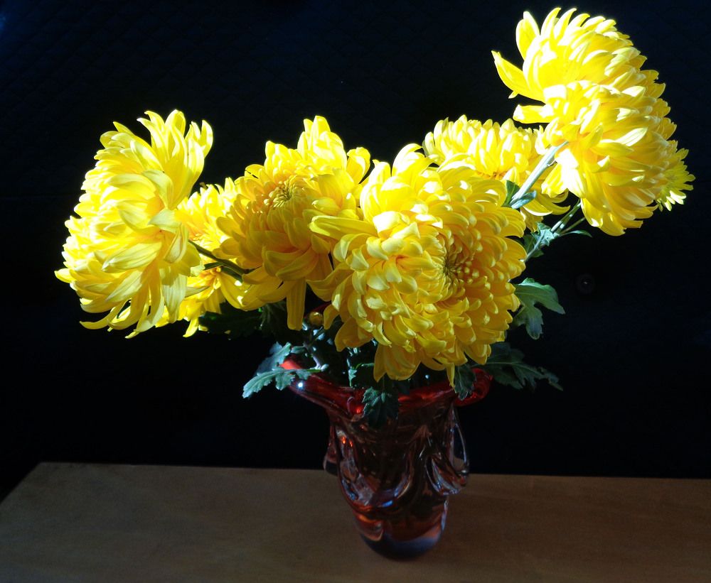 Фотография автора  Lizuza