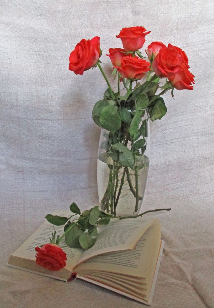 Фотография автора  Lizuza