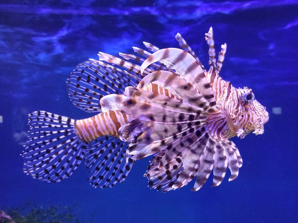 Photograph by Инна