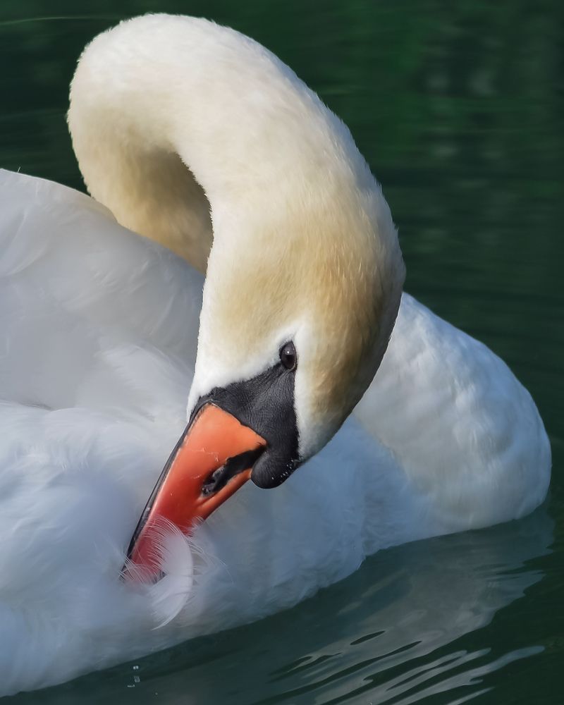 Photograph by Александр Панин