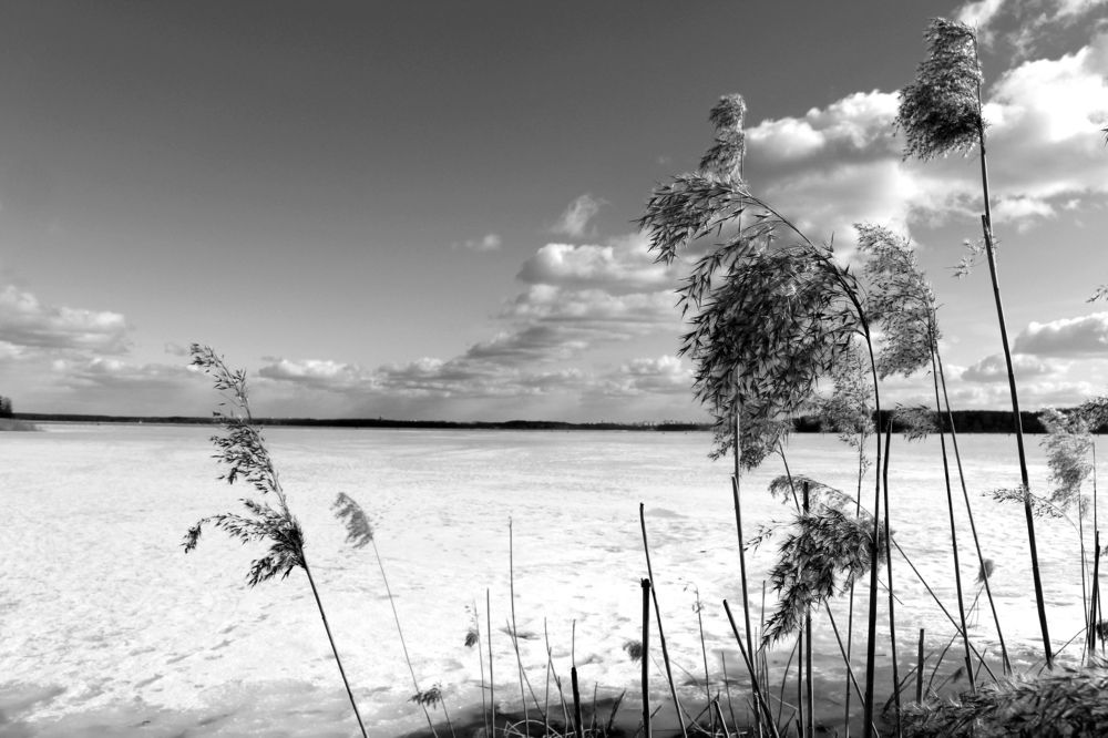 Photograph by Юлия Полуяхтова