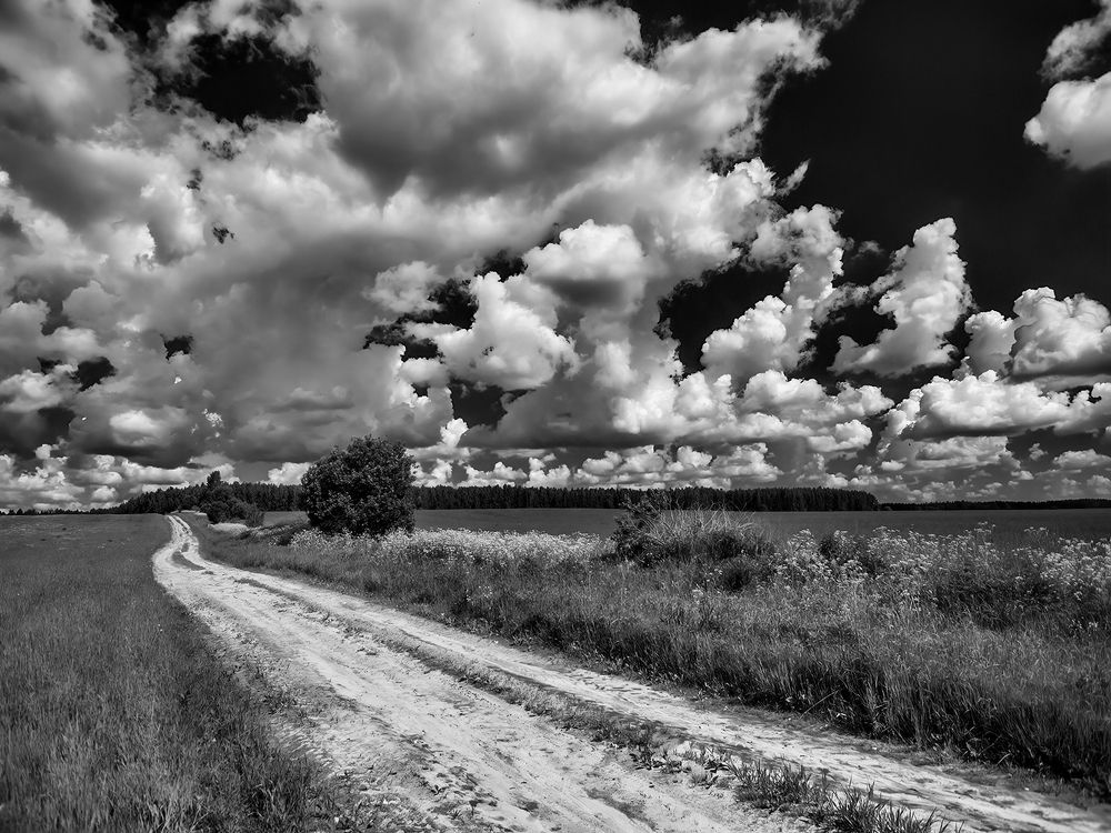 Photograph by Владимир Перепечаев