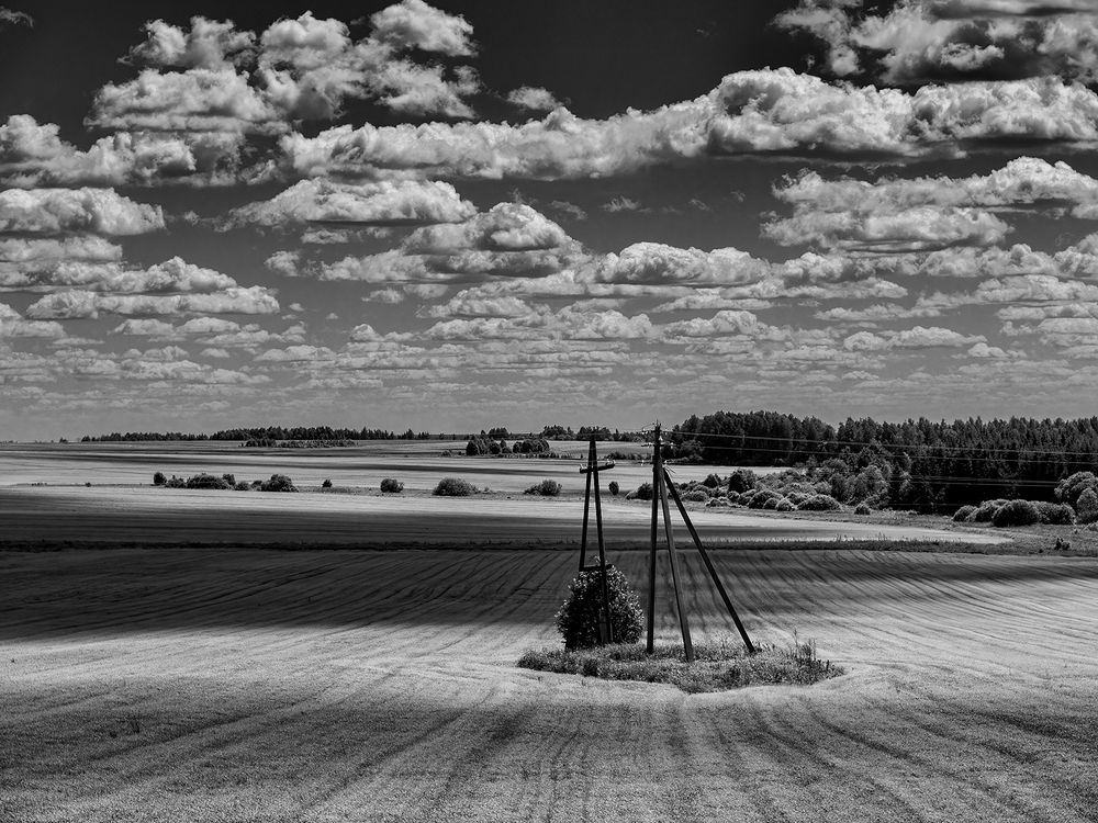 Photograph by Владимир Перепечаев