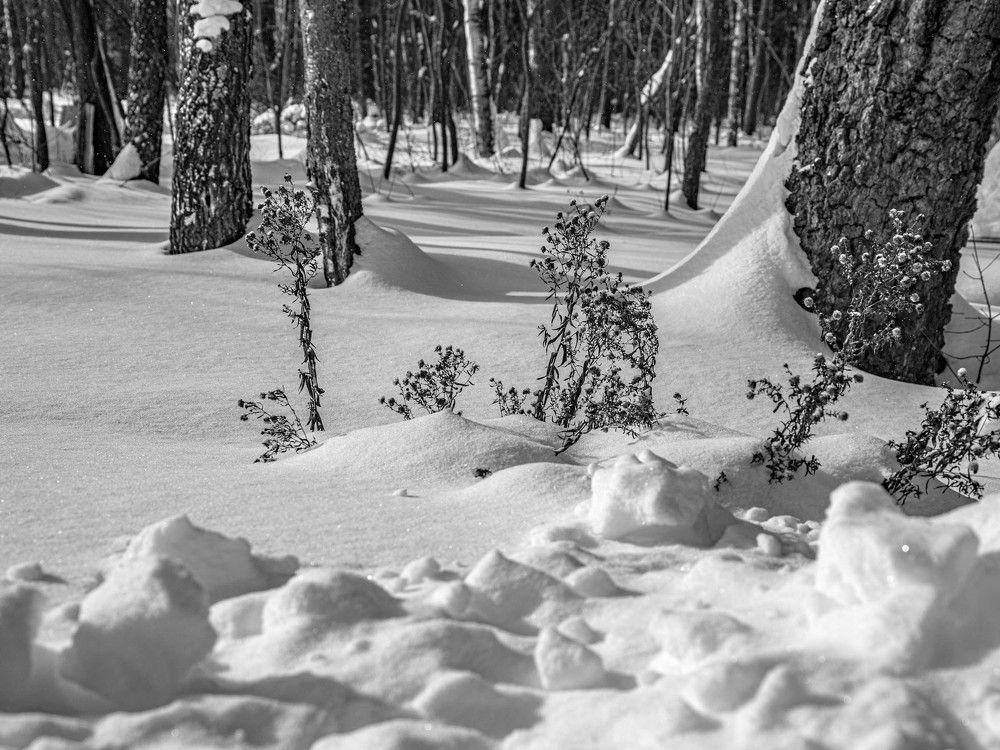 Photograph by Константин Горшенин