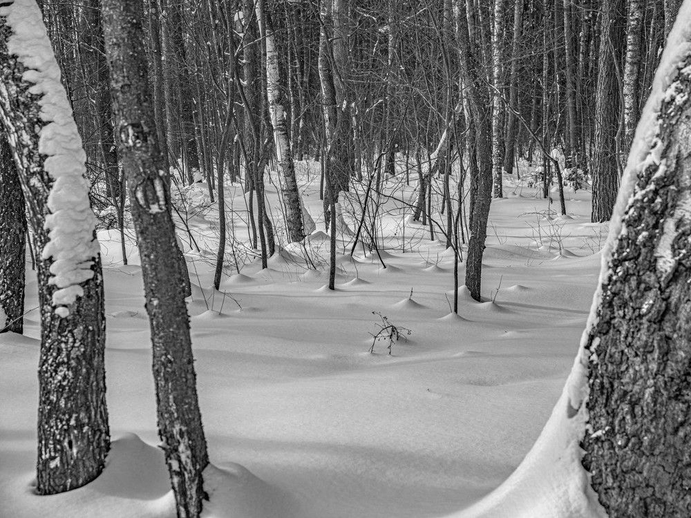 Photograph by Константин Горшенин