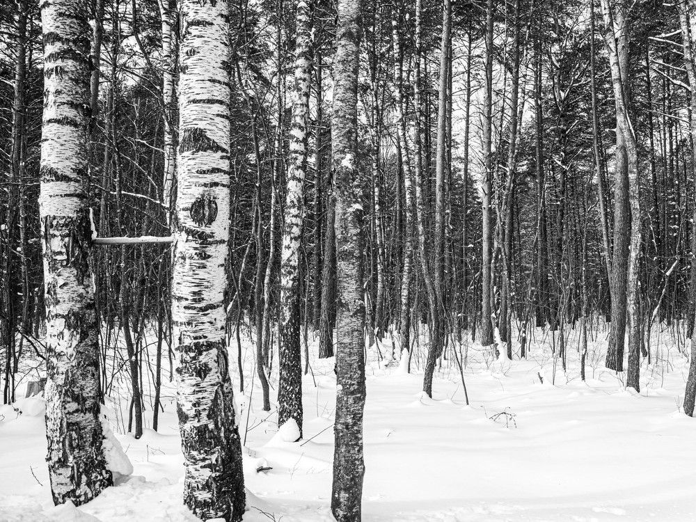 Photograph by Константин Горшенин