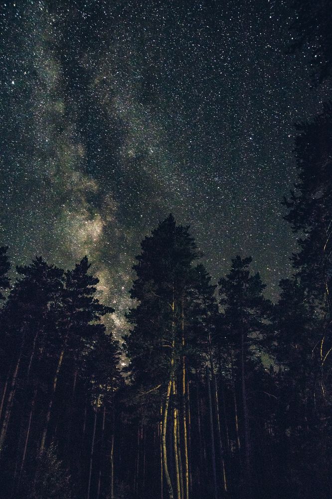 Photograph by Дмитрий Бутенко