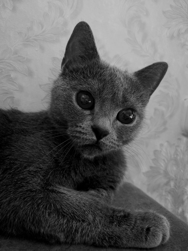 Photograph by Сергей Подлевский