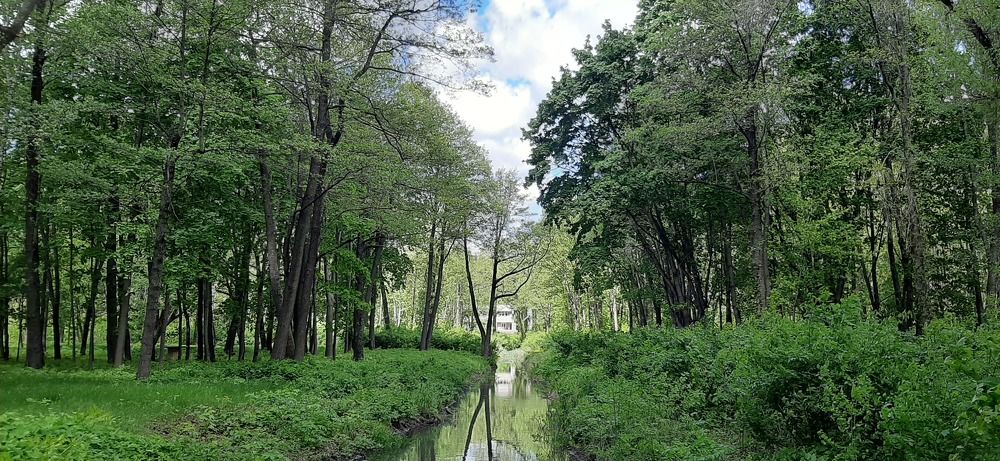 Photograph by Герман Шавин