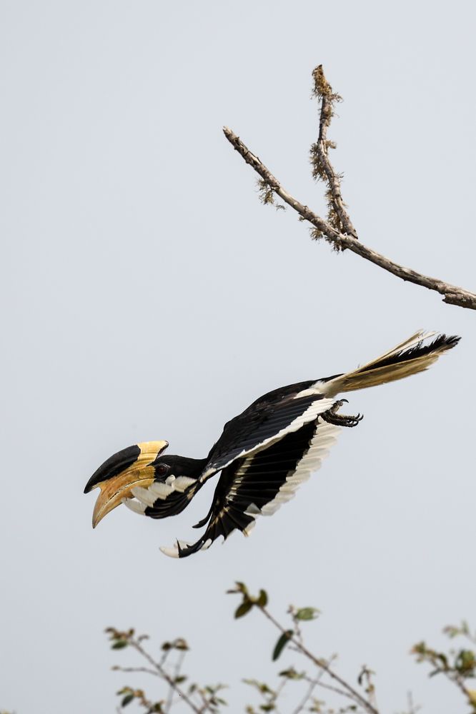 Photograph by Umesh Ranasinghe