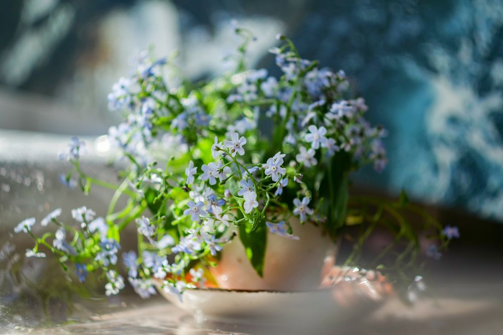 Photograph by Наталья Заровнева