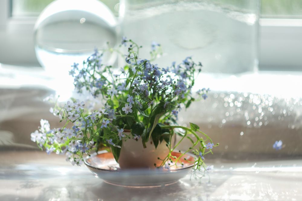 Photograph by Наталья Заровнева