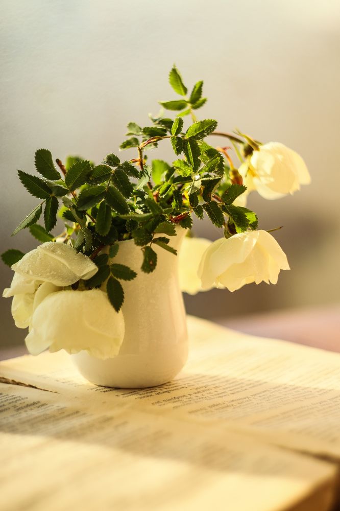 Photograph by Елена Квасова