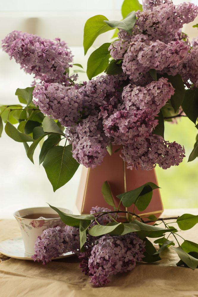 Photograph by Елена Квасова