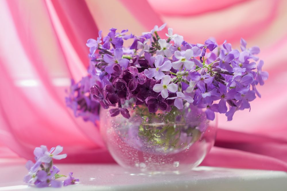 Photograph by Наталья Заровнева