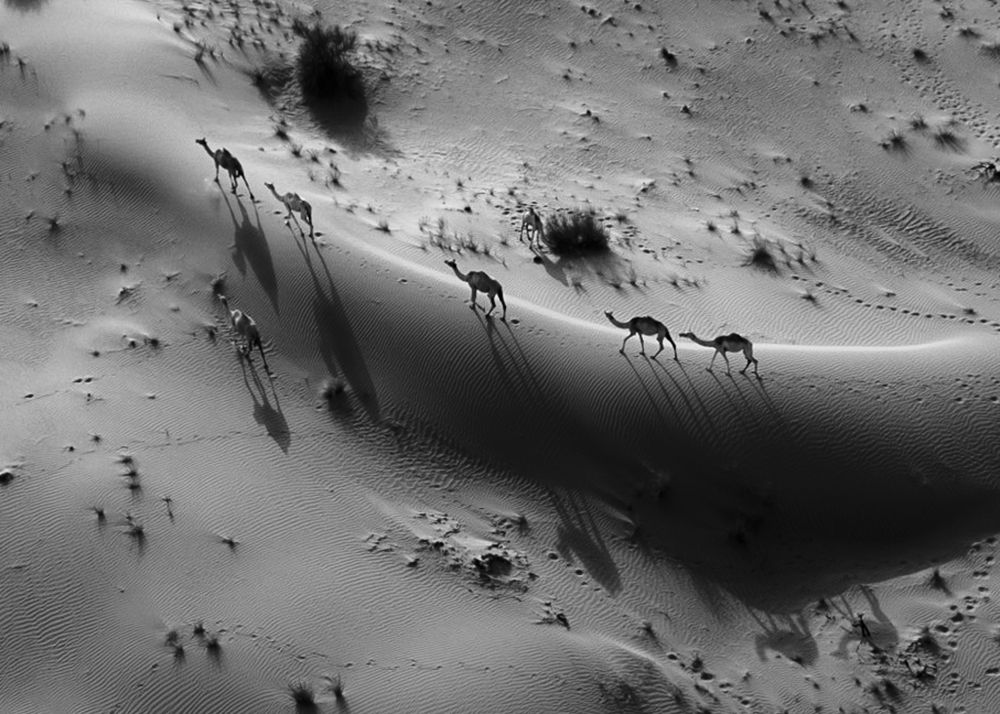 Photograph by Zubair Irshad