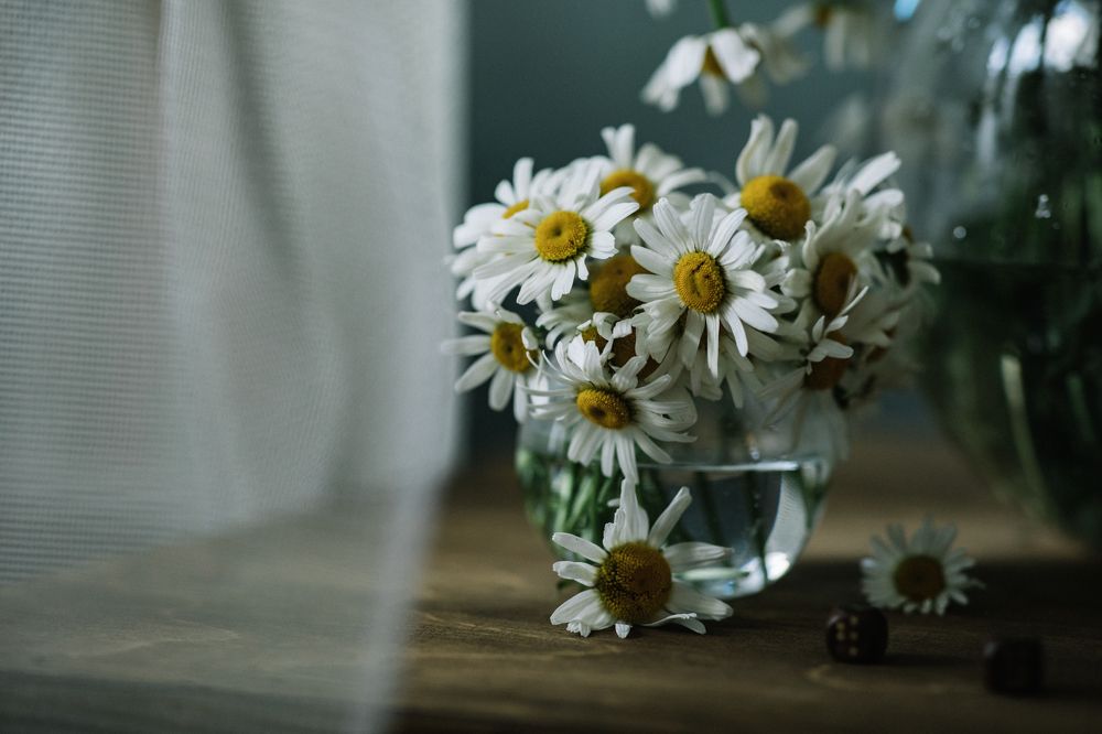 Photograph by Снежана Грачёва