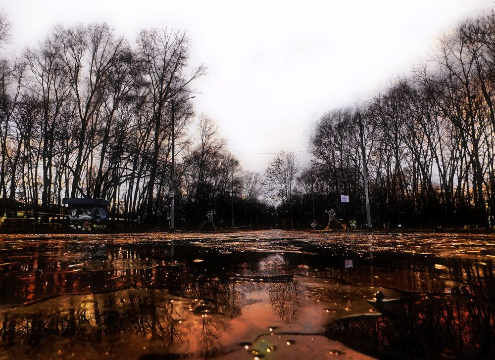 Photograph by Елена Ласун