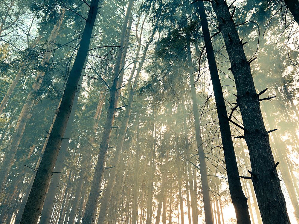 Photograph by Виктория Максюта