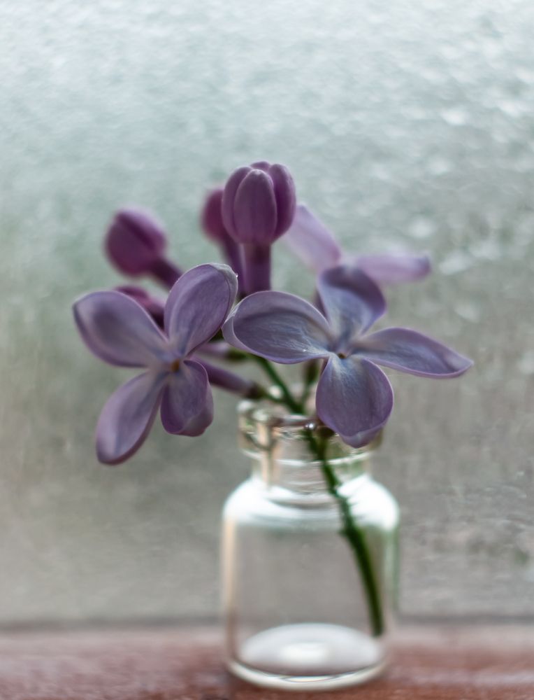 Photograph by Елена Мирзоева