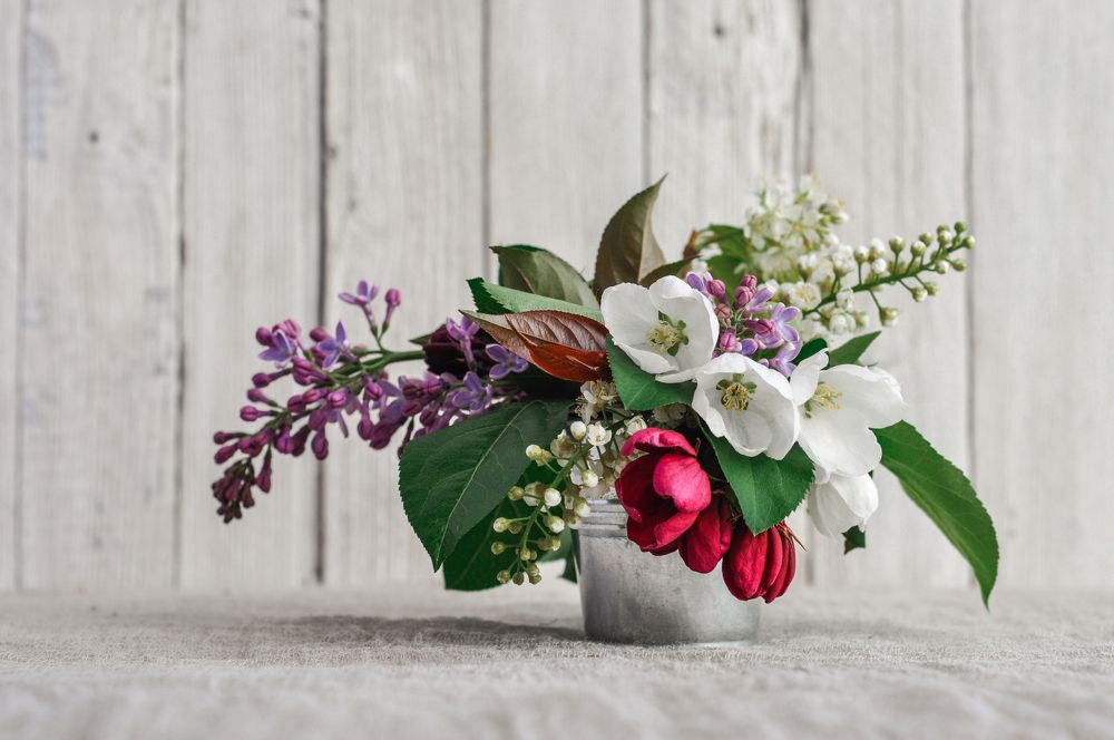 Photograph by Елена Мирзоева