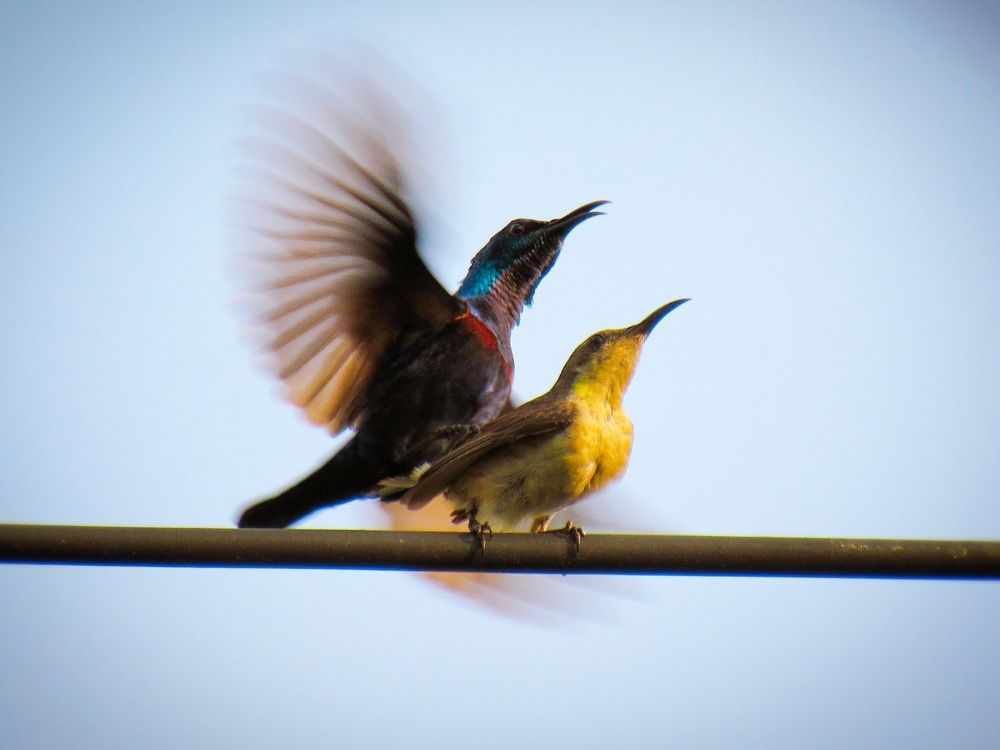 Photograph by SUSMITA SARDAR