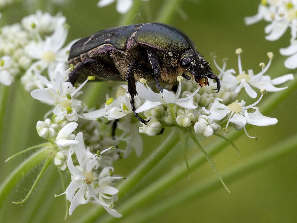 Photograph by Олег Тетерин