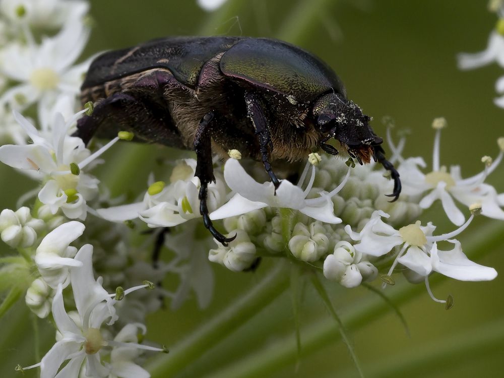 Photograph by Олег Тетерин